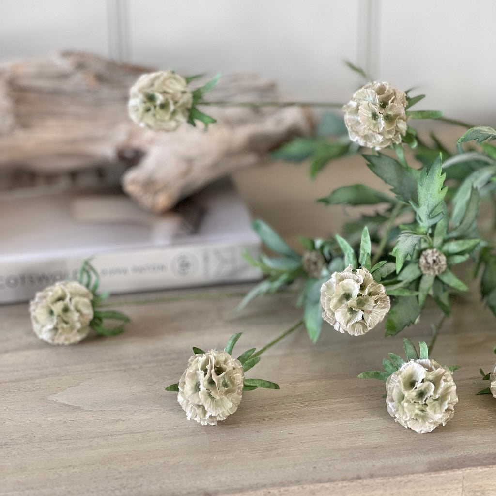 Faux Scabiosa Stellata Spray with Leaves