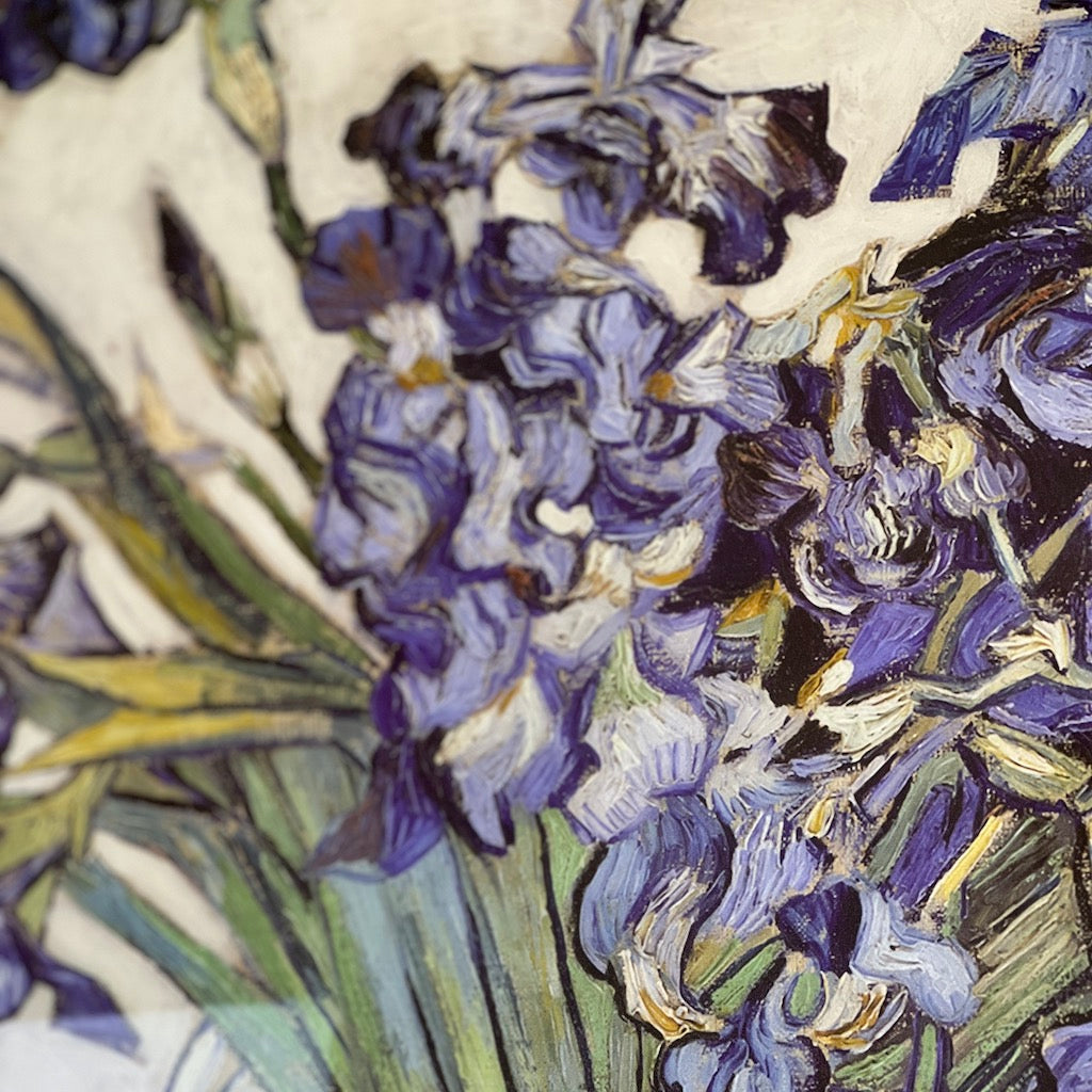 Van Gogh Irises Framed Art Print