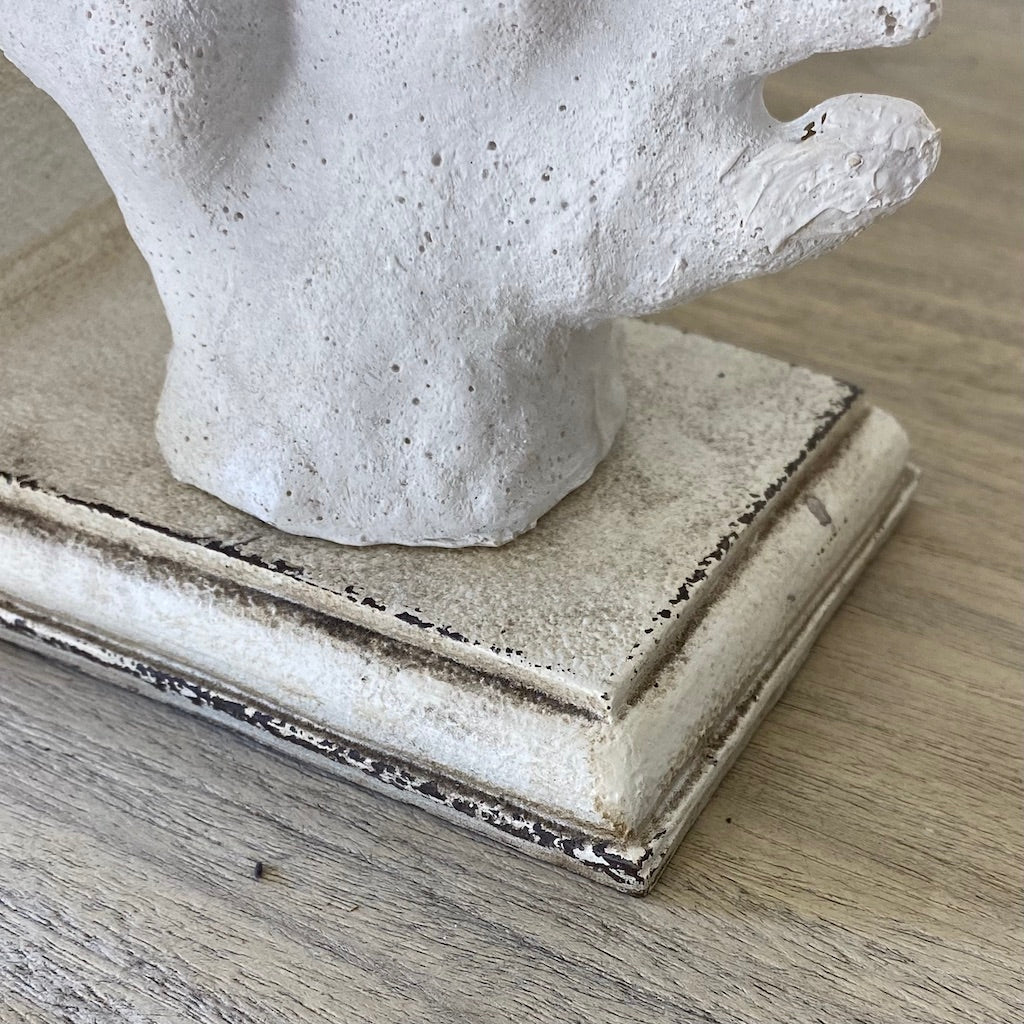 Stunning White Coral Bookends