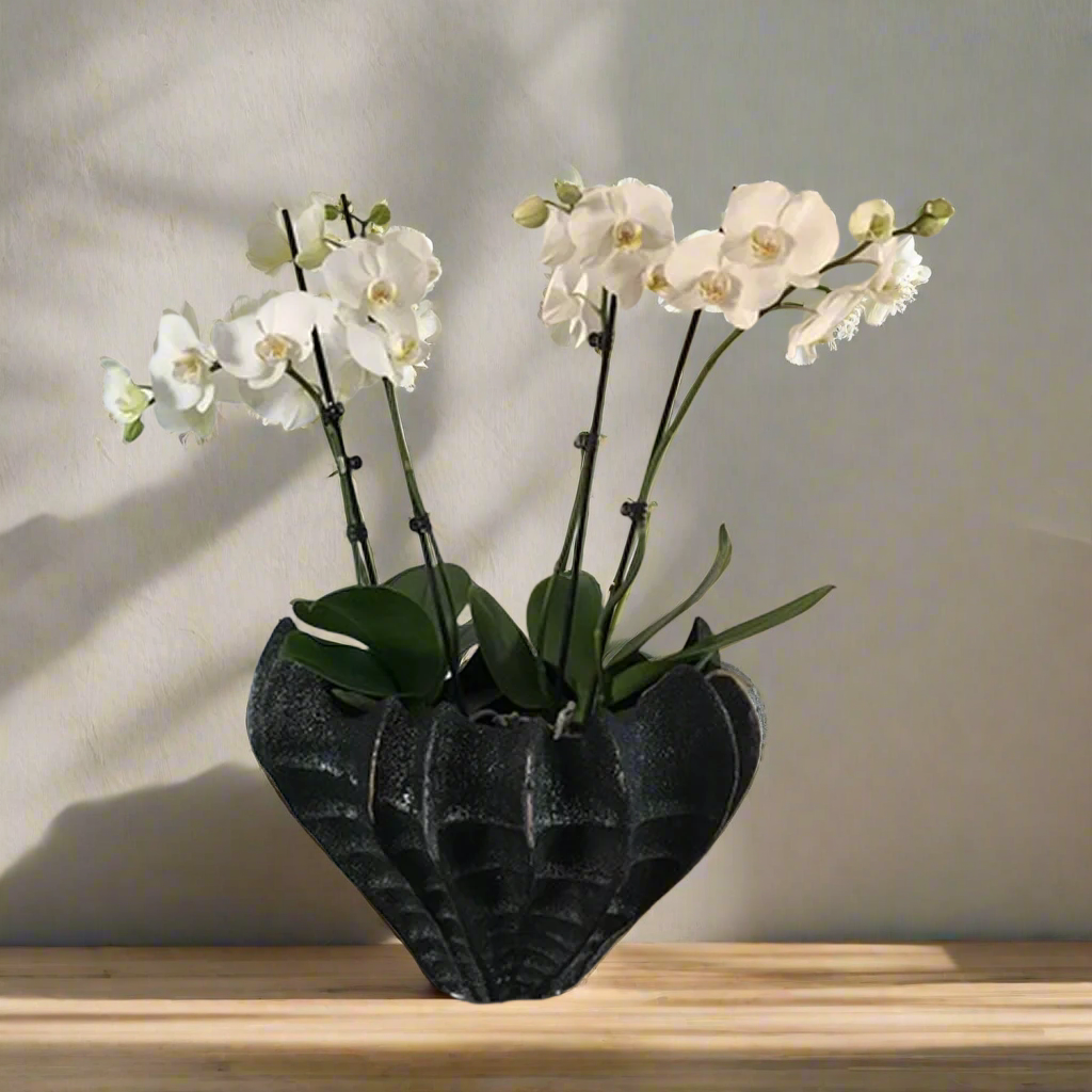 Decorative Textured Ceramic Coral Bowl