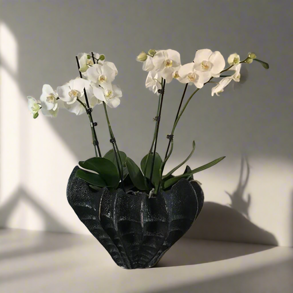Decorative Textured Ceramic Coral Bowl
