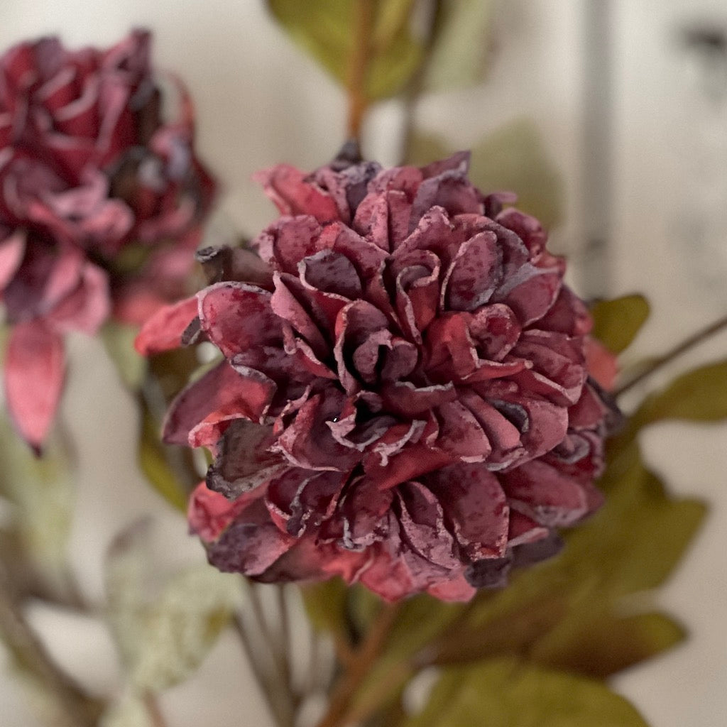 Burgundy Dahlia Flower Stem