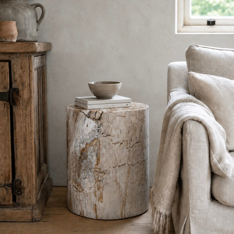Stunning Rare Large Petrified Wood Fossil Blocks – Cowshed Interiors