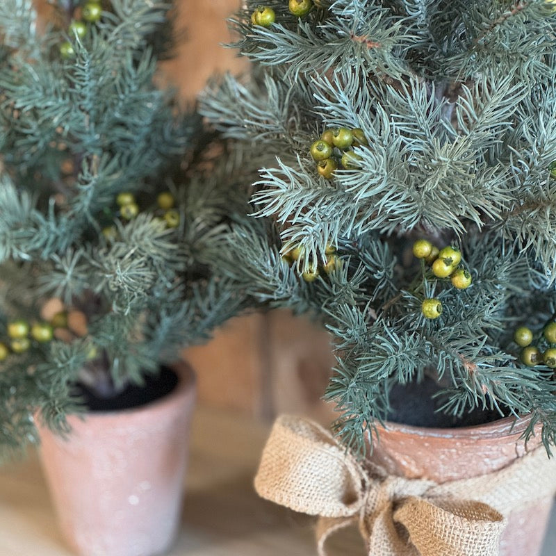 Faux Pine Tree in Terracotta Pot