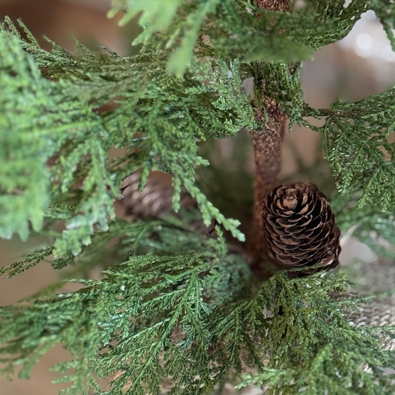 Faux Potted Cedar In Hessian Burlap - 60cm