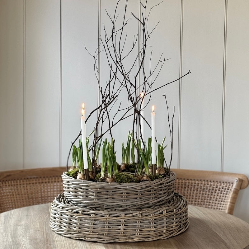 Rattan Ring Planter - Choice Of 2 Sizes