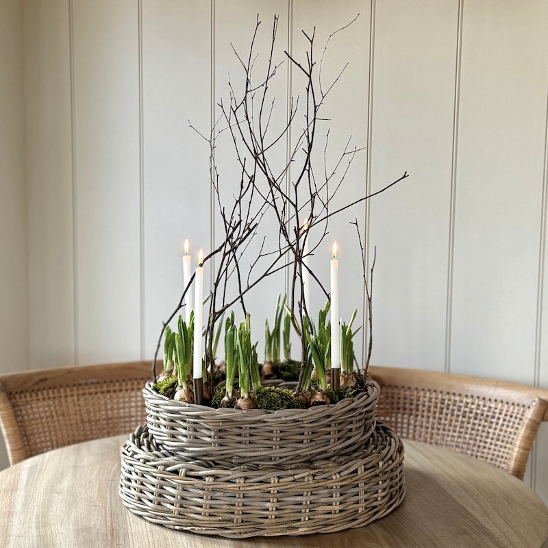 Rattan Ring Planter - Choice Of 2 Sizes