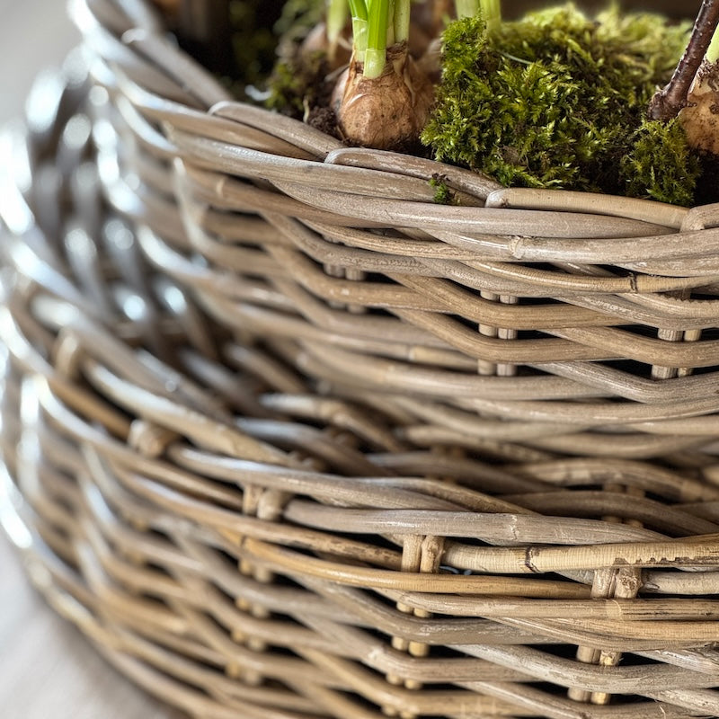 Rattan Ring Planter - Choice Of 2 Sizes