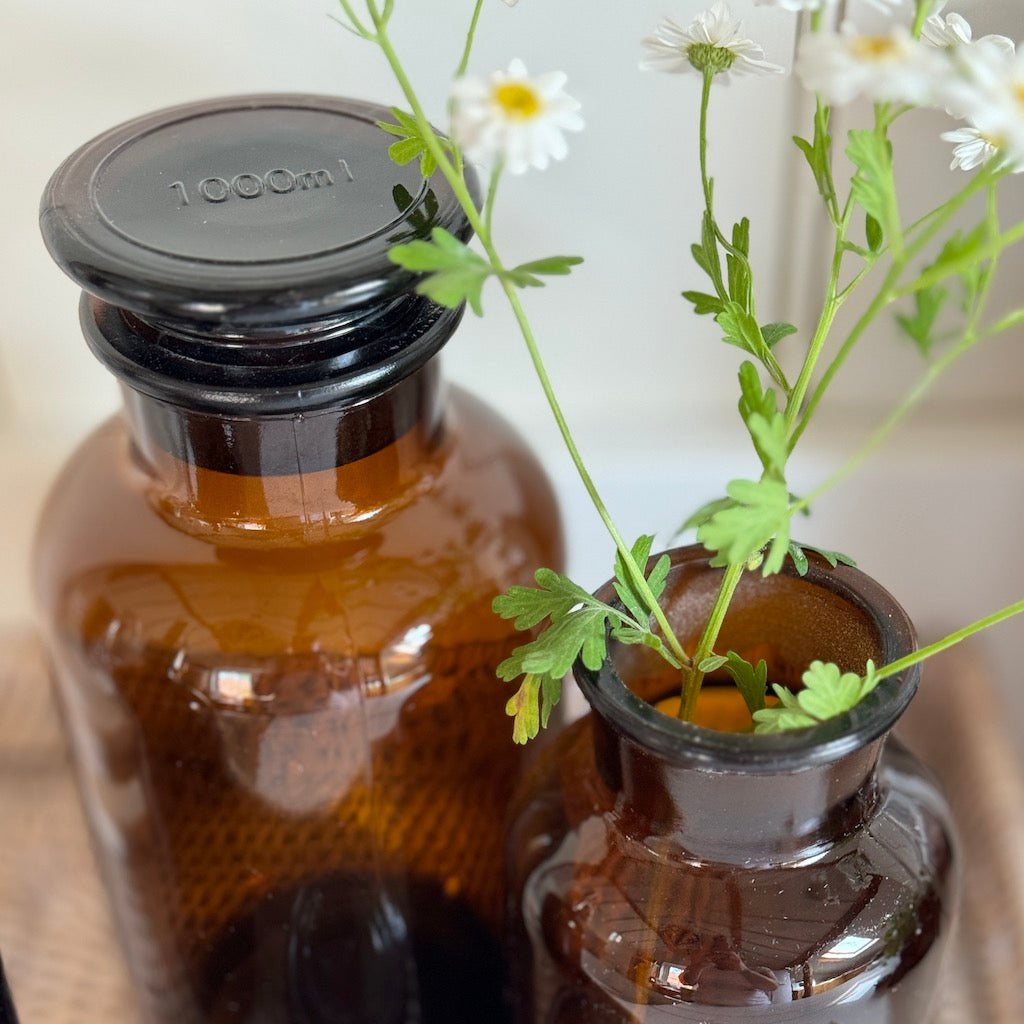 French Apothecary Glassware Traditional Chemists Brown