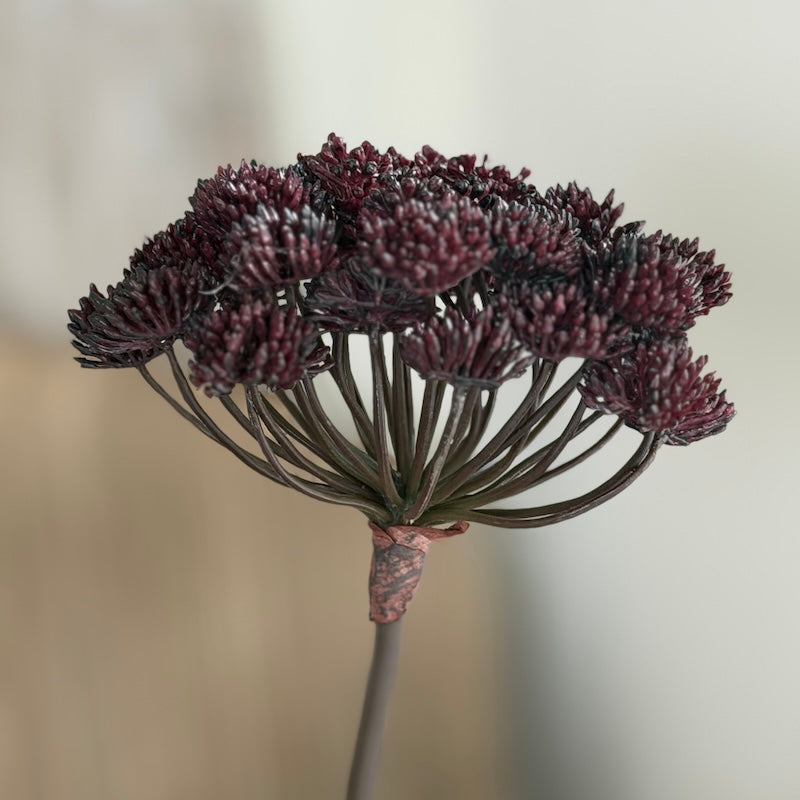 Faux Mulberry Angelica Seed Head Stem