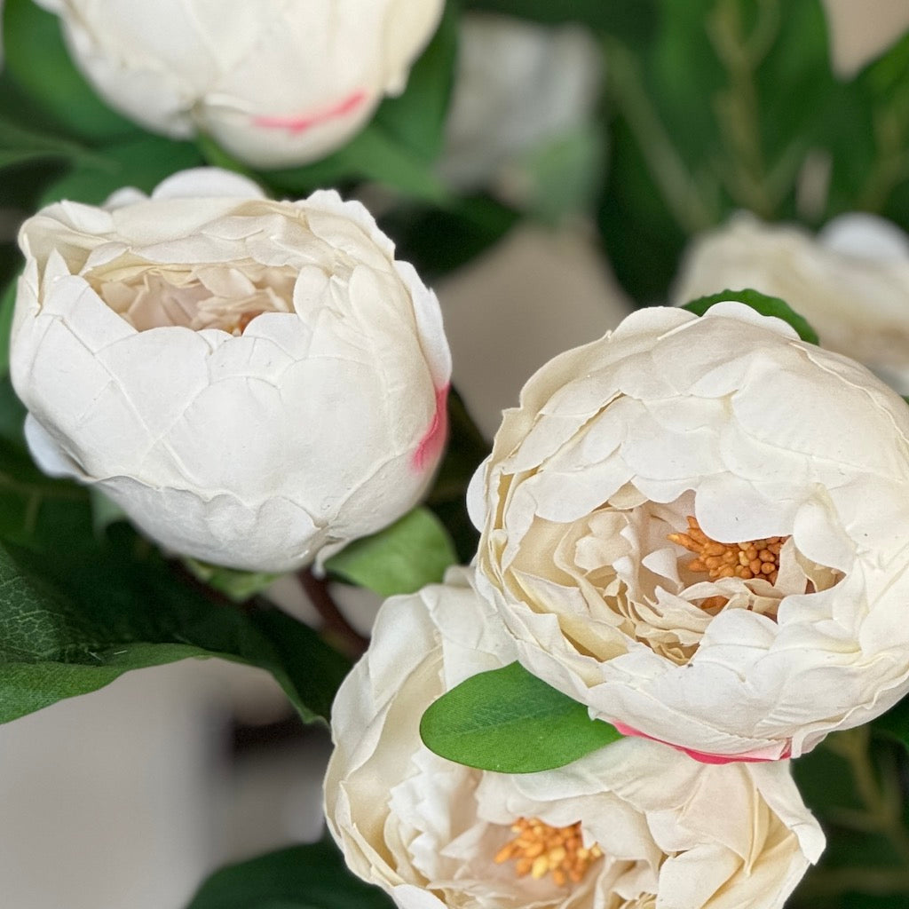 Faux Real Touch Two Bloom Peony