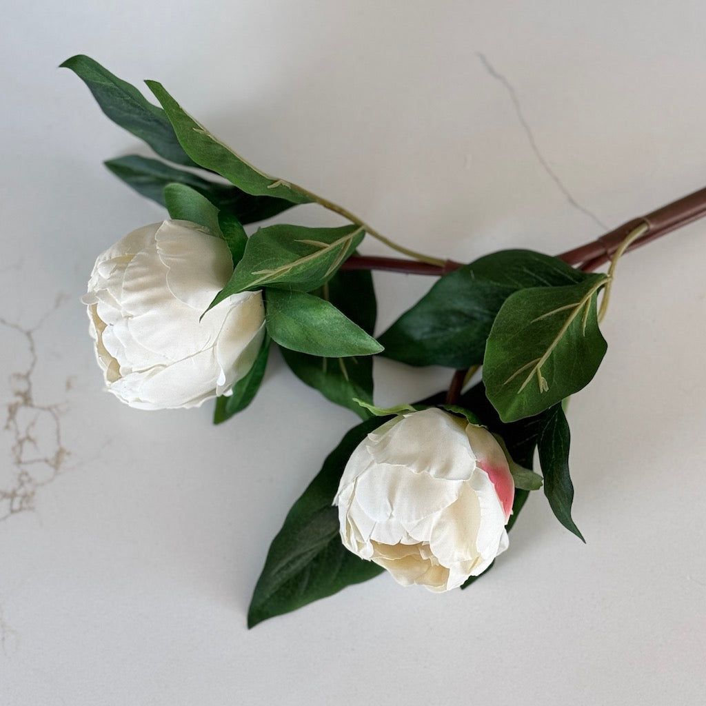 Faux Real Touch Two Bloom Peony