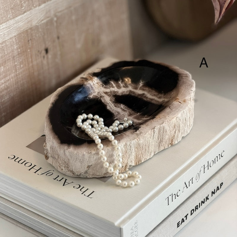 Petrified Wood Dark Fossil Catchall Bowl