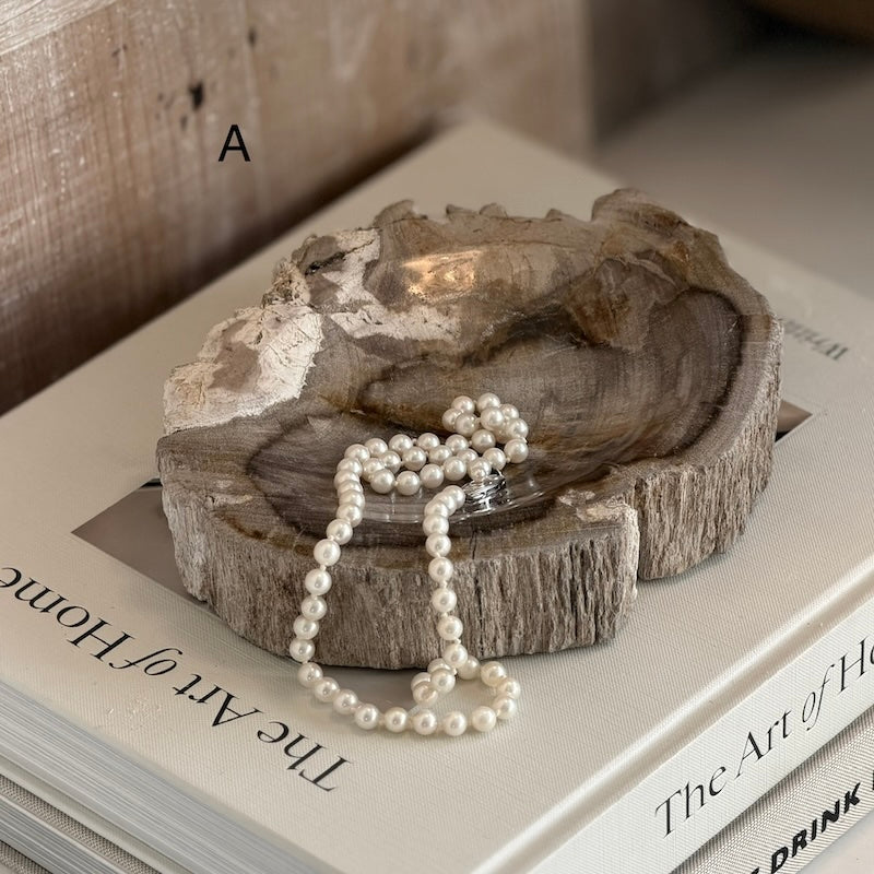 Petrified Wood Light Fossil Catchall Scoop