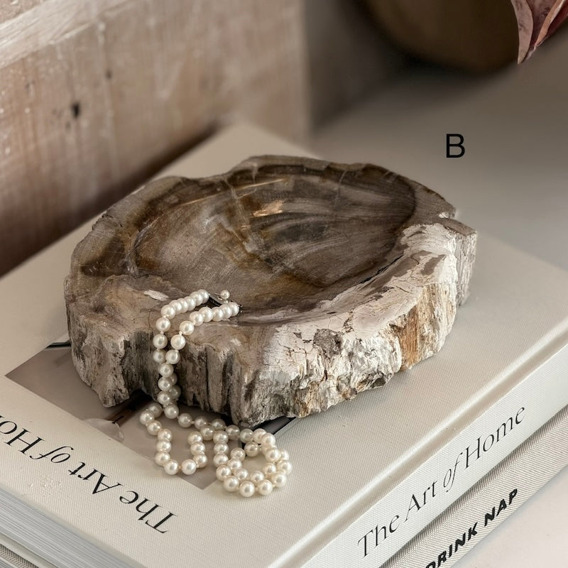 Petrified Wood Light Fossil Catchall Scoop