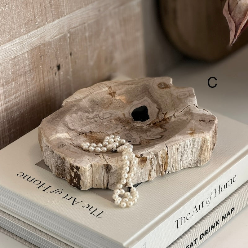 Petrified Wood Light Fossil Catchall Scoop