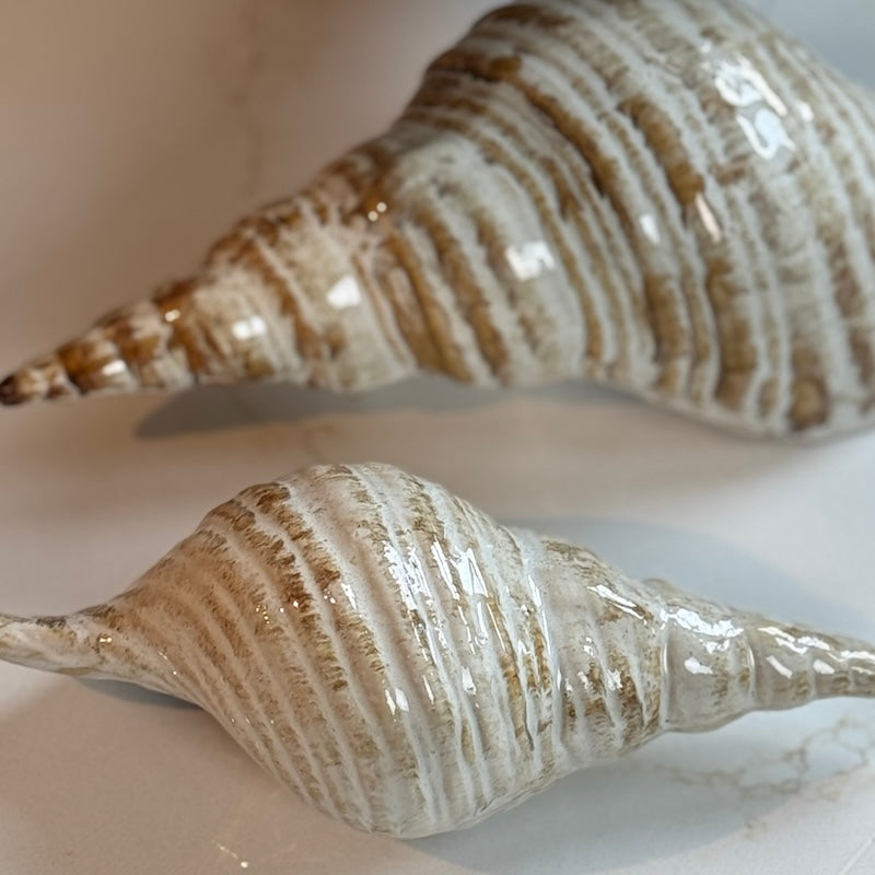Ceramic Shell Ornament – Cream Sand