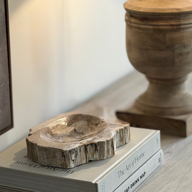 Petrified Wood Light Fossil Catchall Scoop