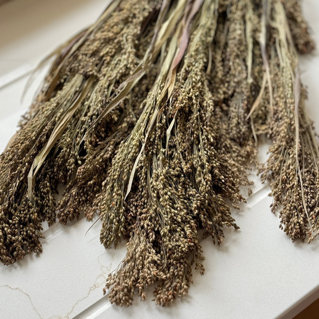 Dried Prairie Grass