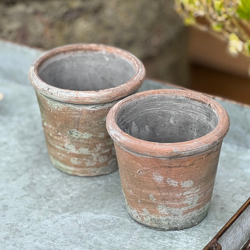 Vintage Style Geranium Terracotta Pot