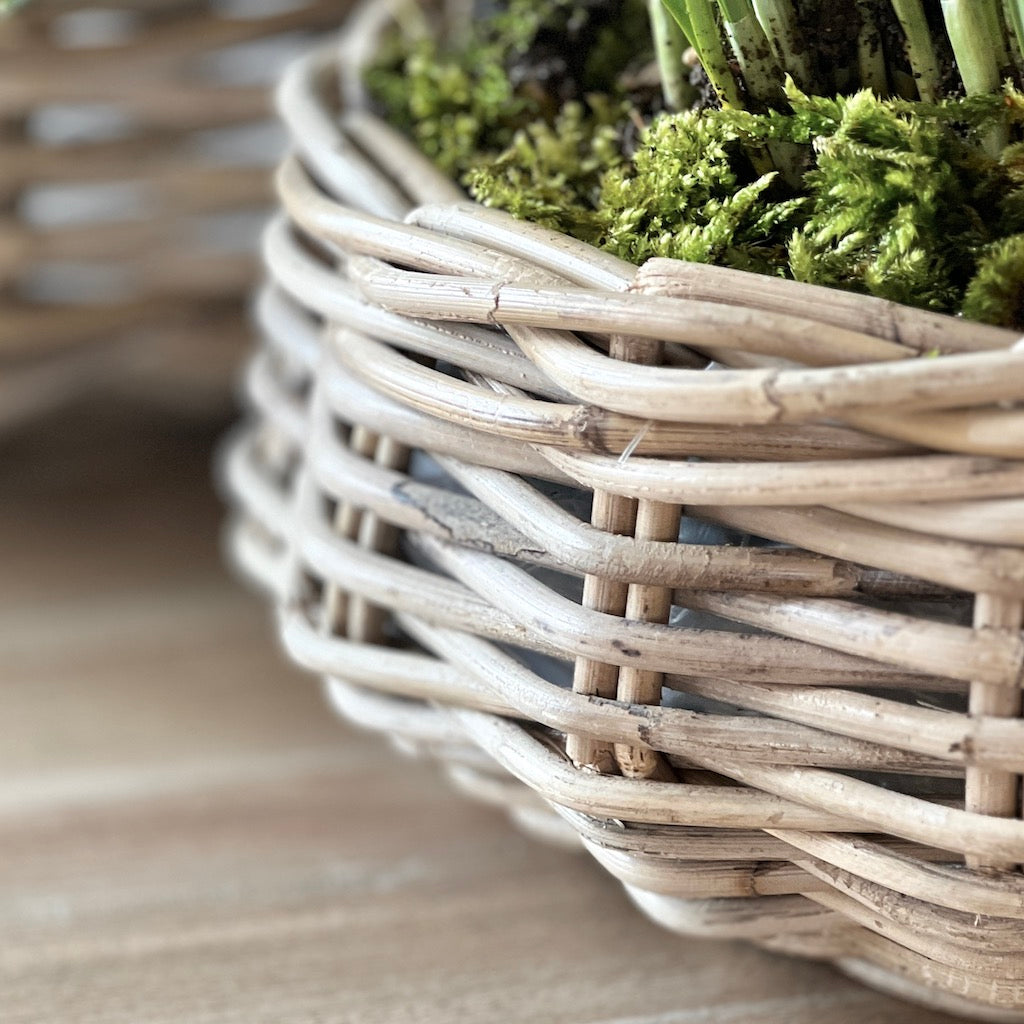 grey rattan plant pots Round Rattan Planter – Cowshed Interiors