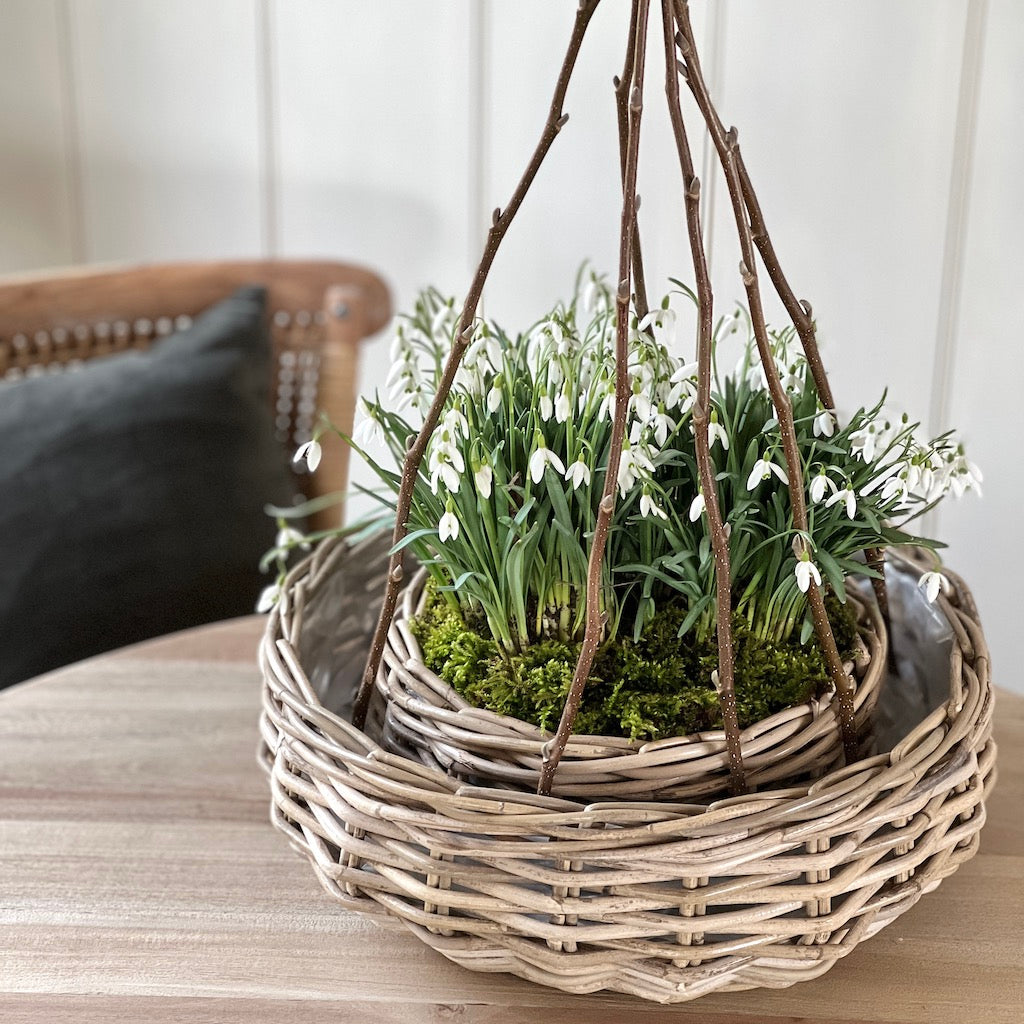 Round Rattan Planter