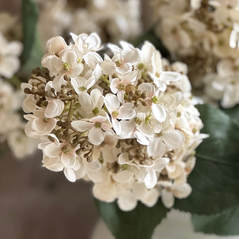 Faux Cream Hydrangea Stem