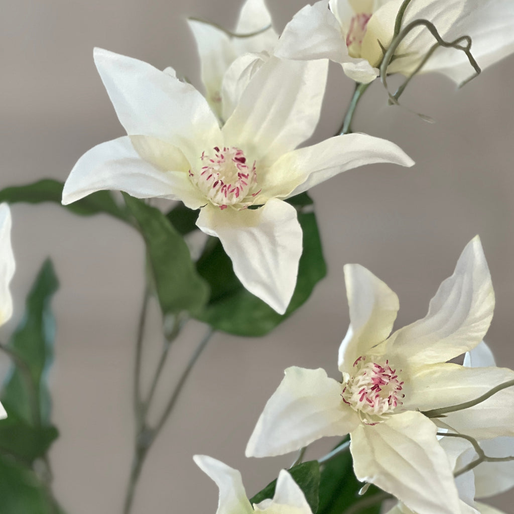 Faux Clematis Spray