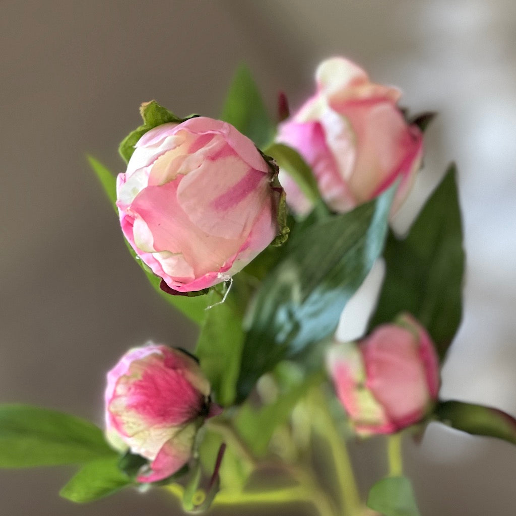 Faux Pink Peony Stem