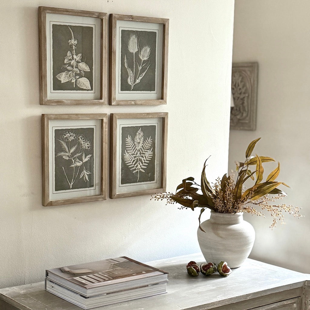 Framed Botanical Prints Set 4 – Cowshed Interiors