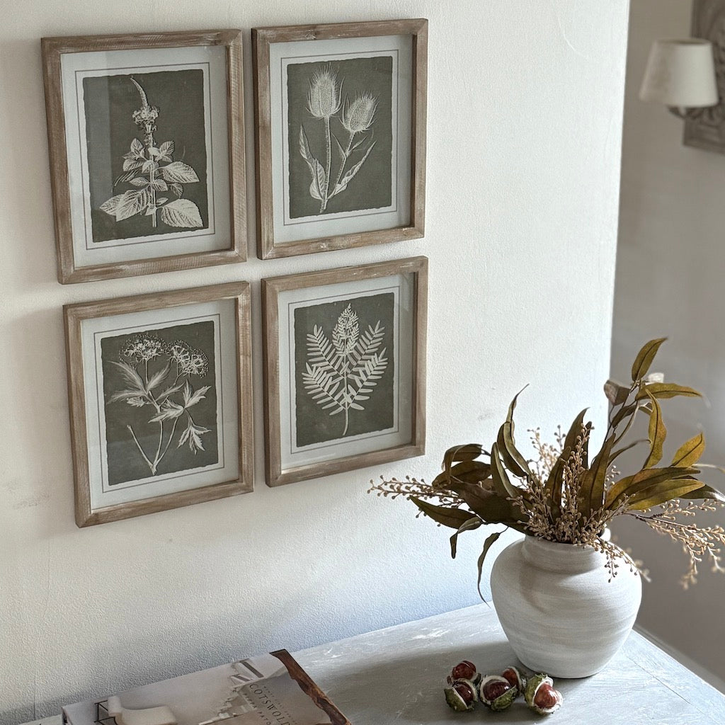 Framed Botanical Prints Set 4 – Cowshed Interiors