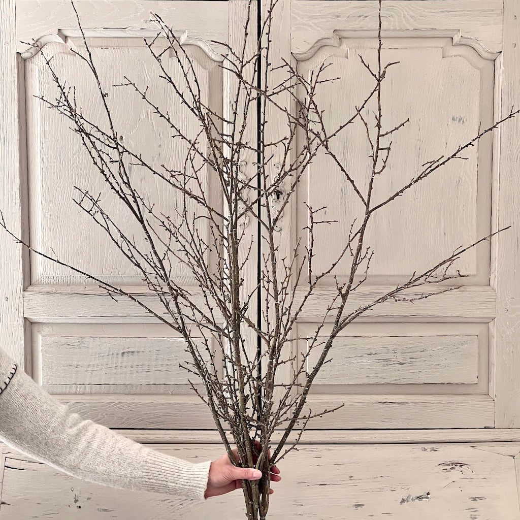 Faux winter branch