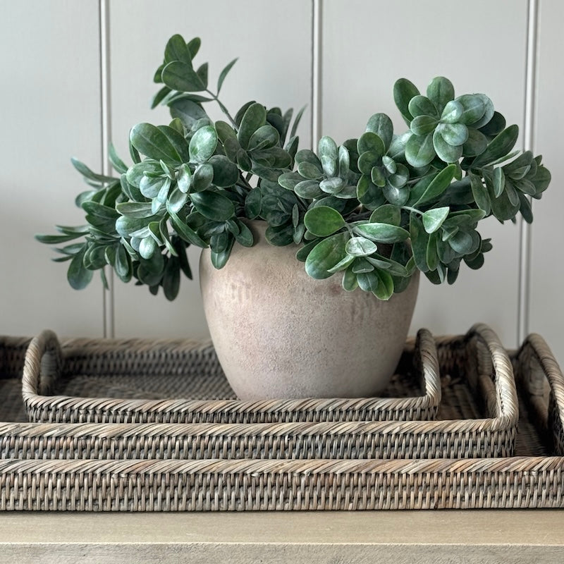 Small Rustic Clay Pot
