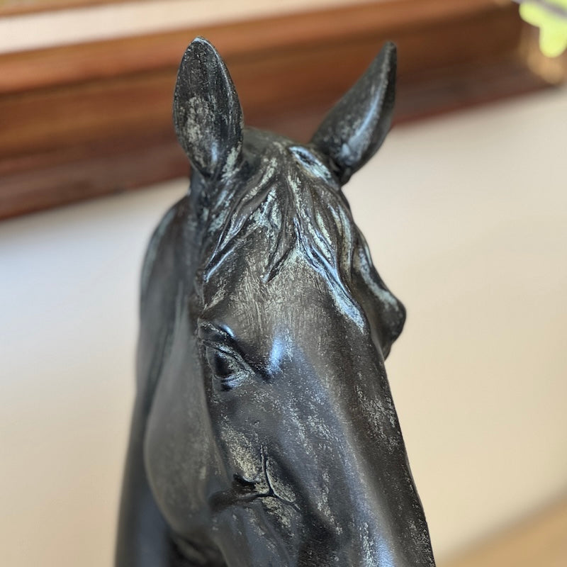 Striking Sculptured Black Horses Head