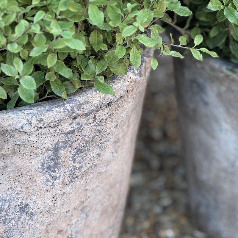 Weathered Finish Illy Planters
