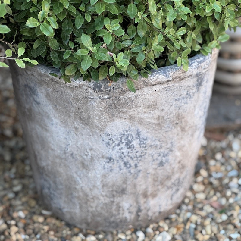 Weathered Finish Illy Planters