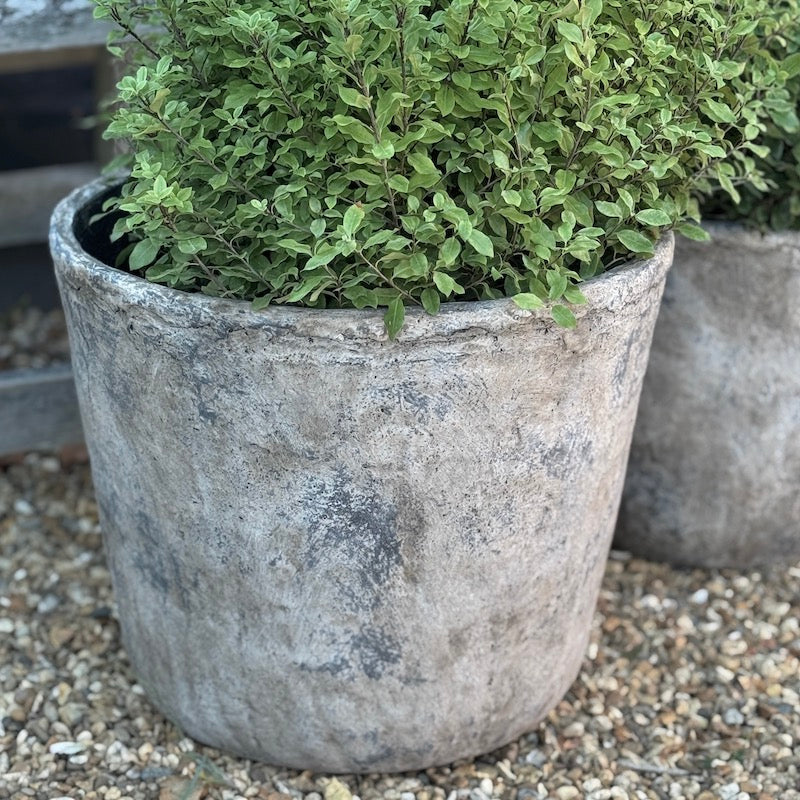 Weathered Finish Illy Planters