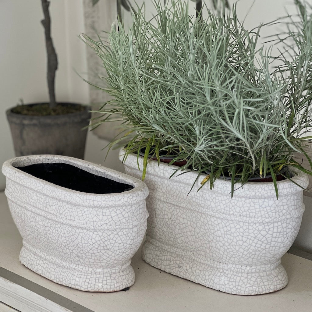Oval Crackled Glazed Planters 2 Sizes