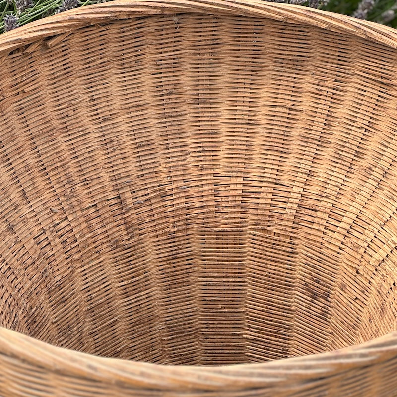 Vintage Tea Picker Basket