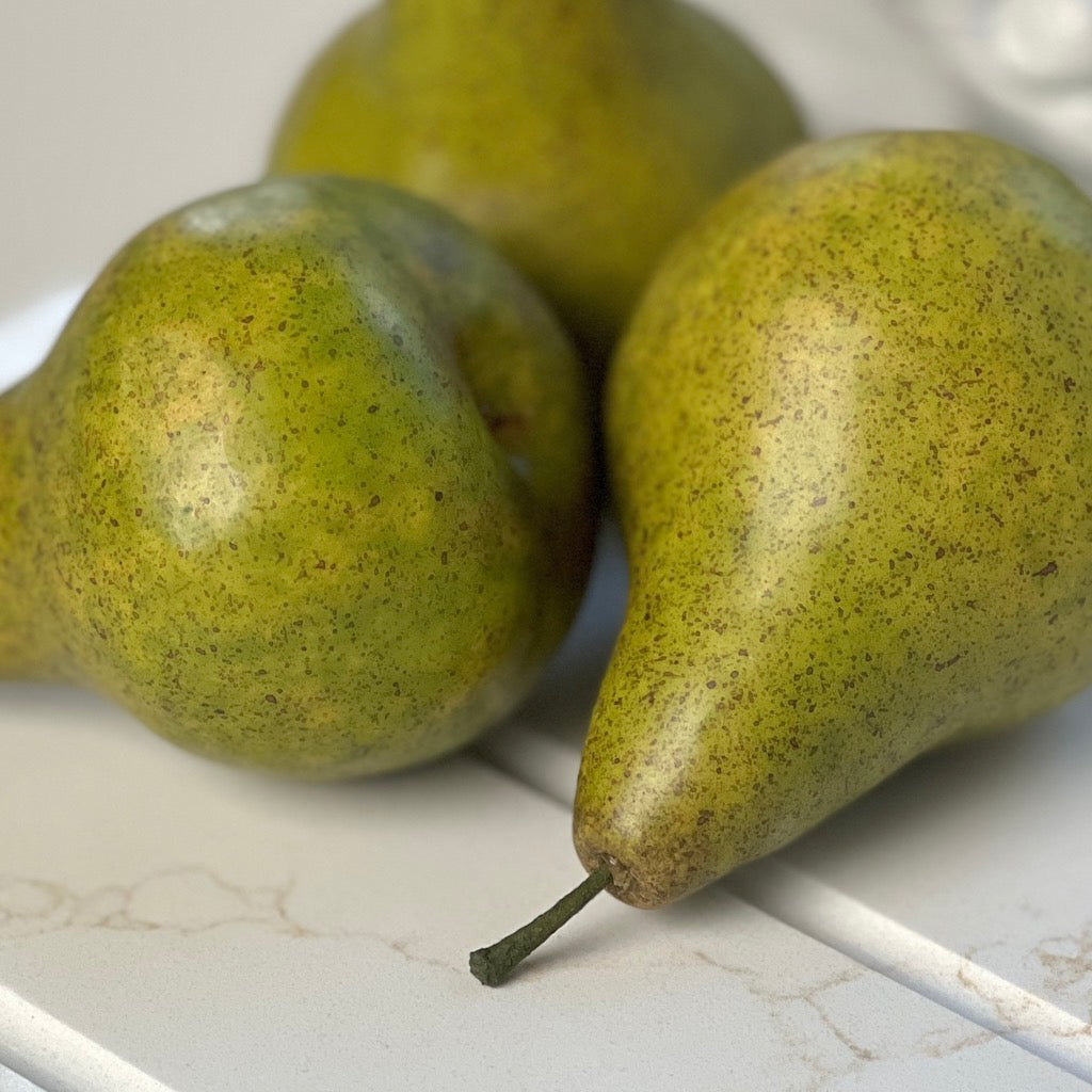 Faux Conference Pear