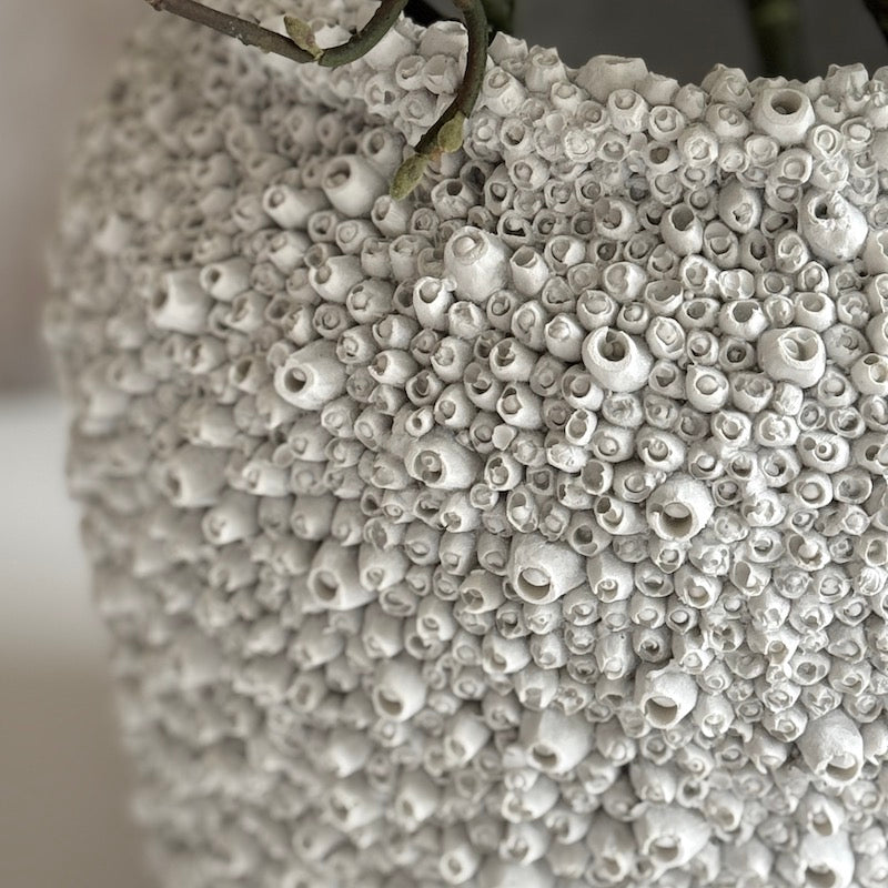 White Barnacle Vase