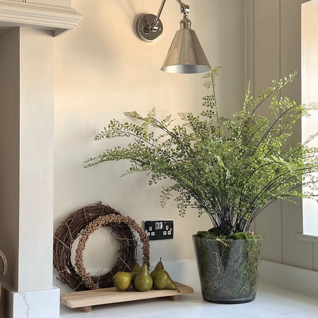 Large Maiden Hair Fern in Glass Pot