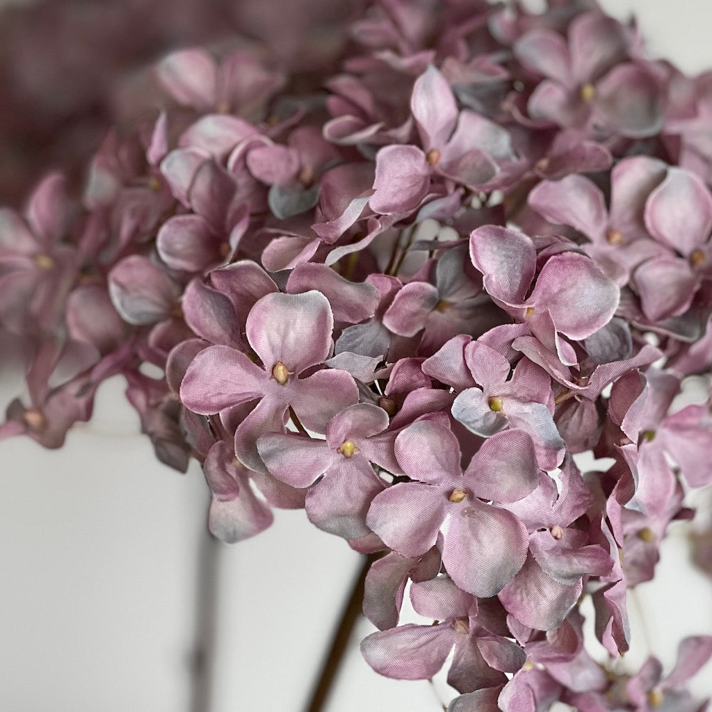 Mauve Annabel Large Head Hydrangea Stem