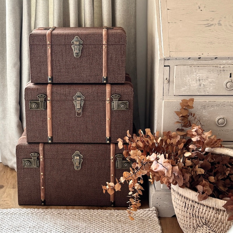 Wood Detailed Savannah Brown Trunks - Set of 3