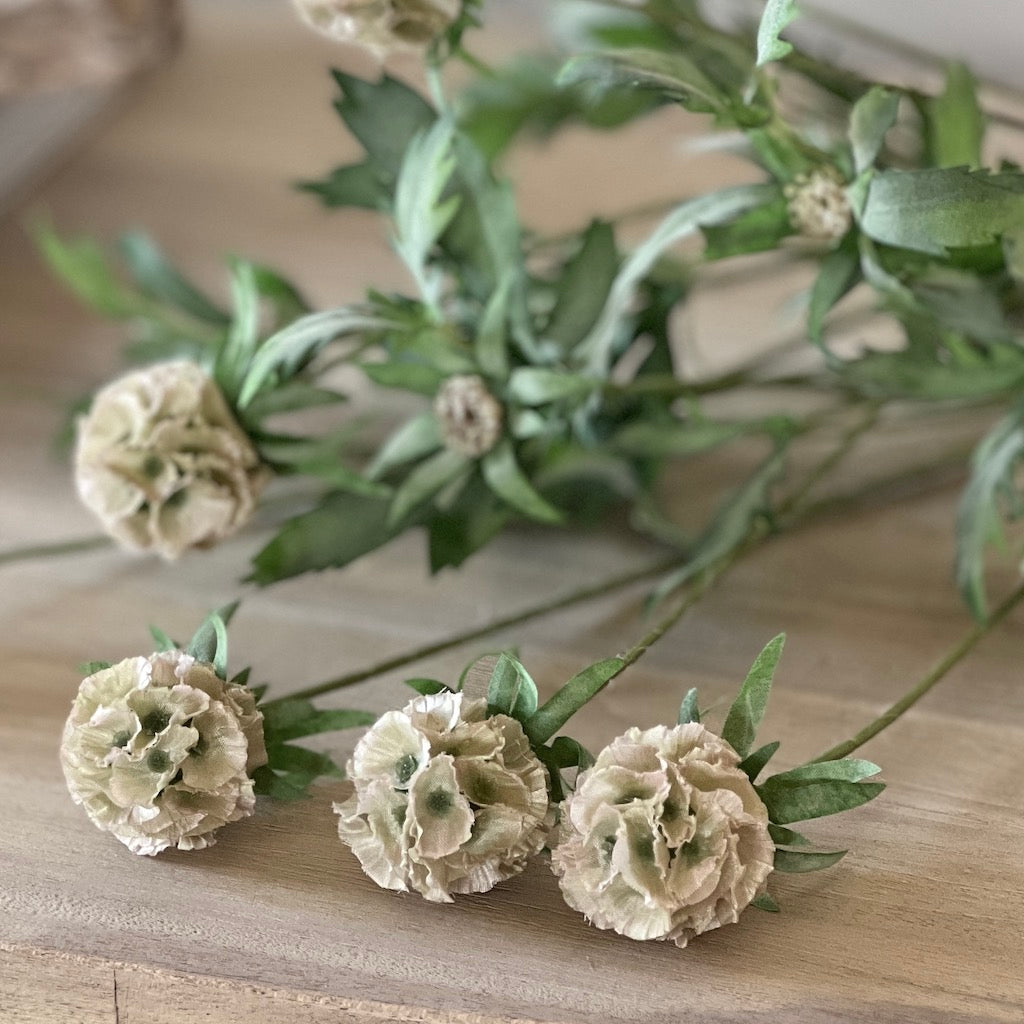 Faux Scabiosa Stellata Spray with Leaves