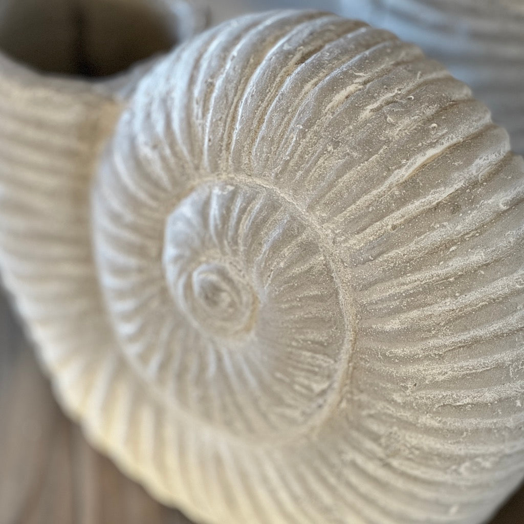 Stone Grey Ammonite Shell Ornament
