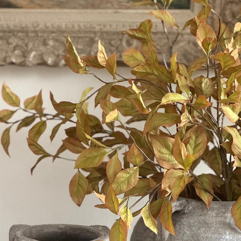 Vibrant Autumnal Capsicum Leaf Spray