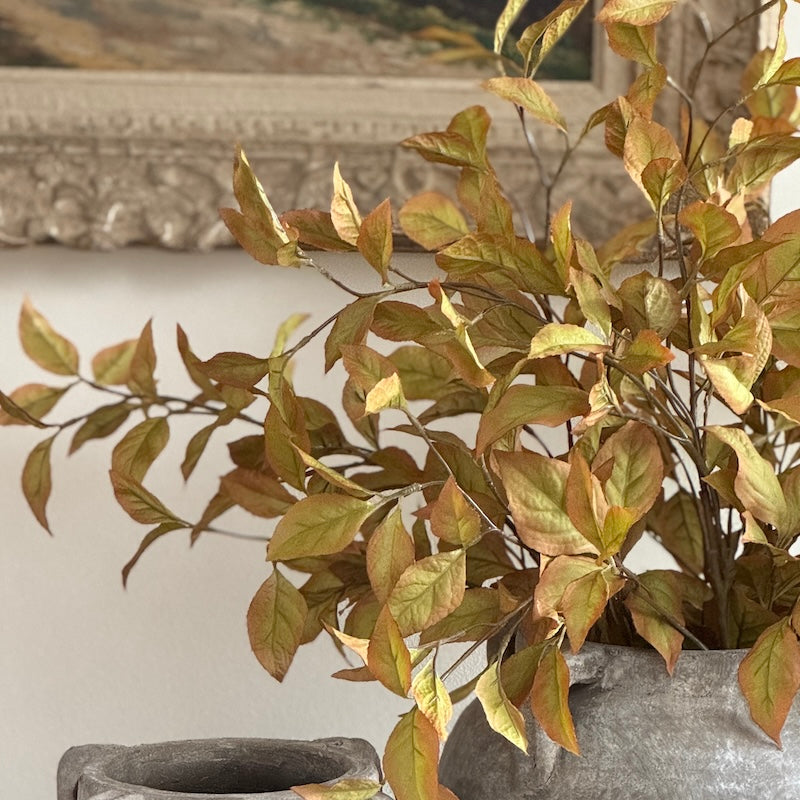 Vibrant Autumnal Capsicum Leaf Spray