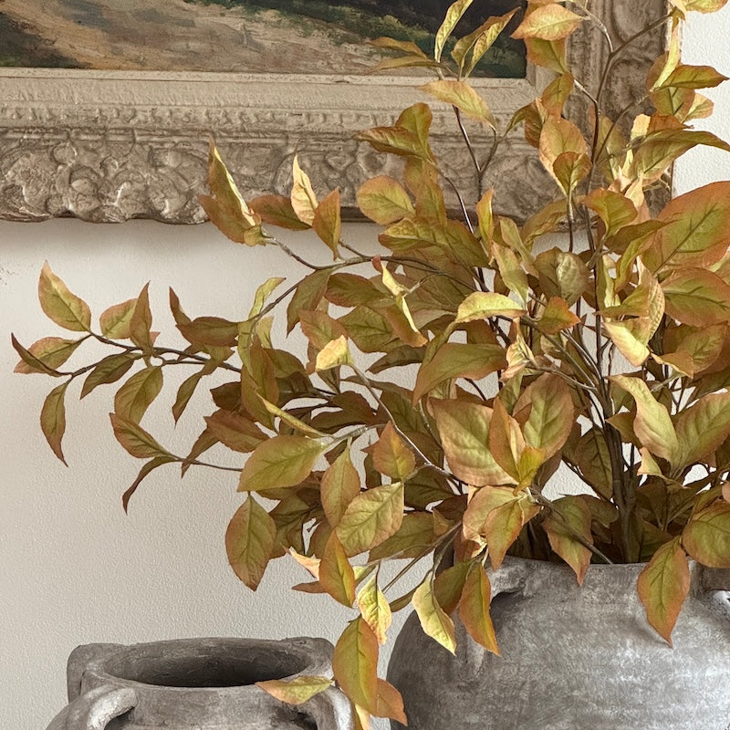 Vibrant Autumnal Capsicum Leaf Spray