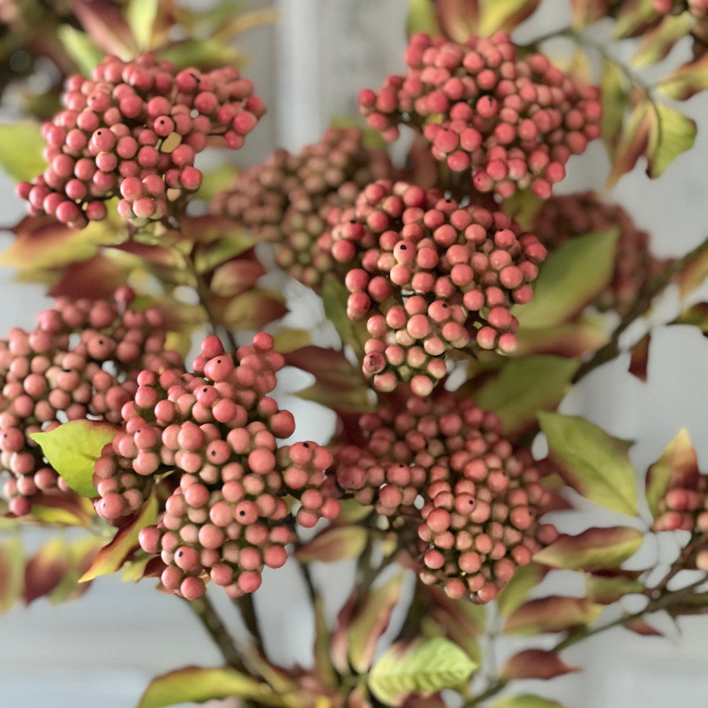 Sorbus Berries Spray